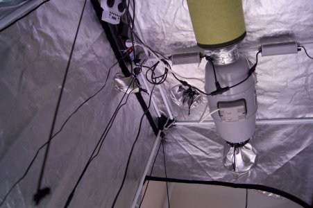 DSC04441.jpeg DSC04441.jpeg