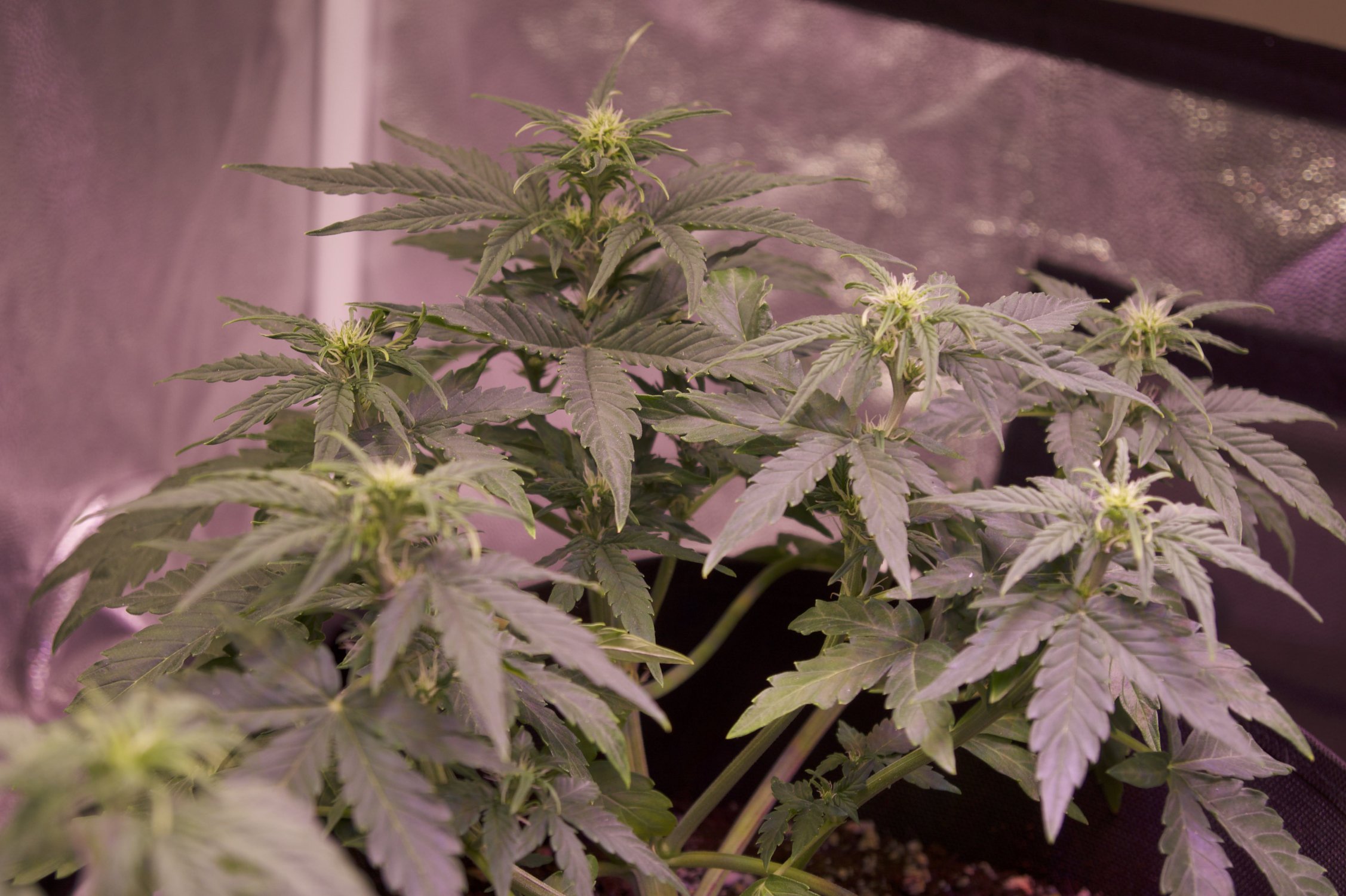 DSC04442.jpeg DSC04442.jpeg