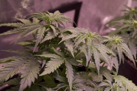 DSC04444.jpeg DSC04444.jpeg