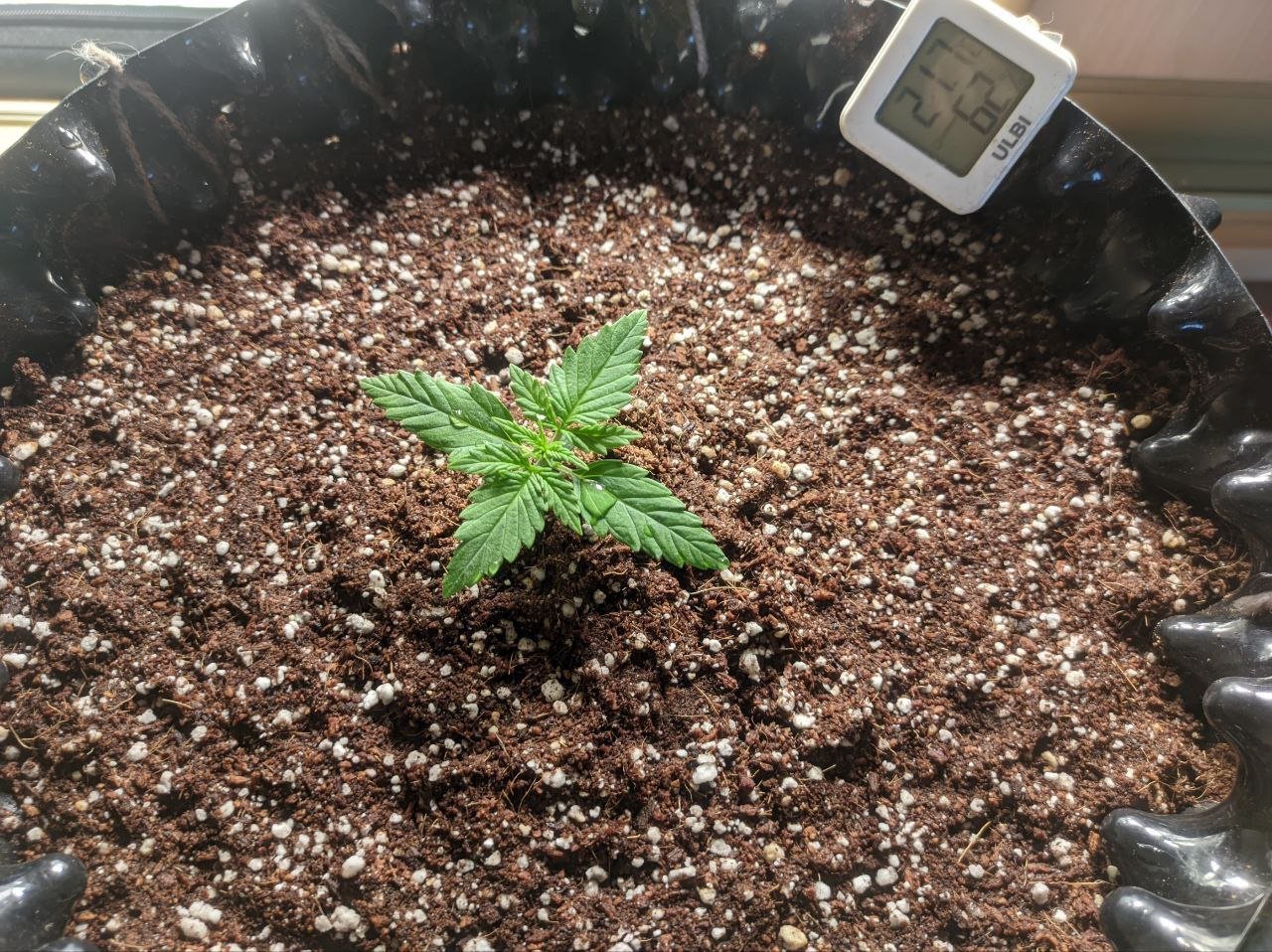 IMG_20230303_163406_509.jpg IMG_20230303_163406_509.jpg