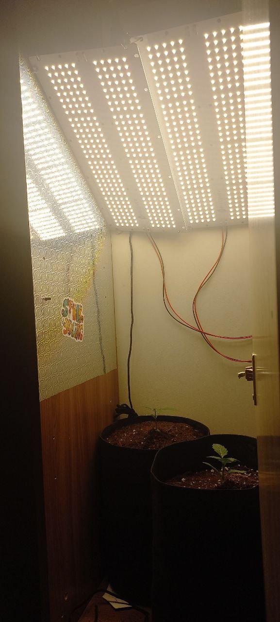 41e46869-9f96-4bf6-bed5-80d917a898fc.jpg 41e46869-9f96-4bf6-bed5-80d917a898fc.jpg