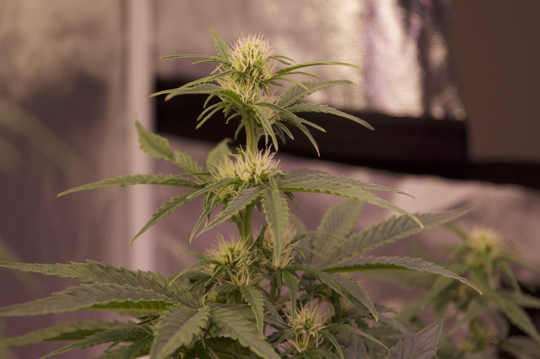 DSC04457.jpeg DSC04457.jpeg