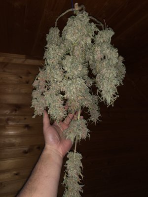 IMG_8052.JPG IMG_8052.JPG