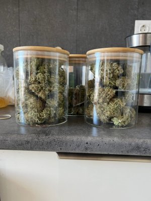 FDCBF082-0CBE-4E7F-AAF5-21EB361F0D3B.jpeg FDCBF082-0CBE-4E7F-AAF5-21EB361F0D3B.jpeg