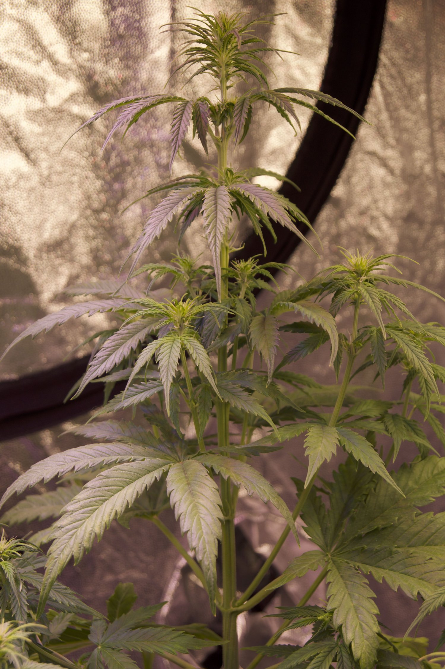 DSC04474.jpeg DSC04474.jpeg