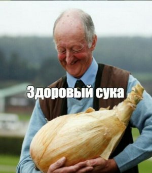 1647807541155488294.jpg 1647807541155488294.jpg