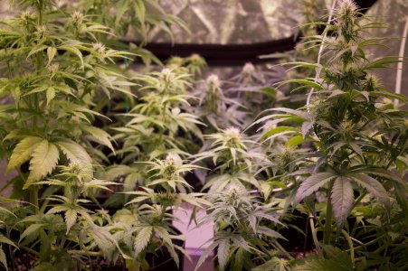 DSC04490.jpeg DSC04490.jpeg