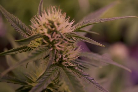 DSC04497.jpeg DSC04497.jpeg