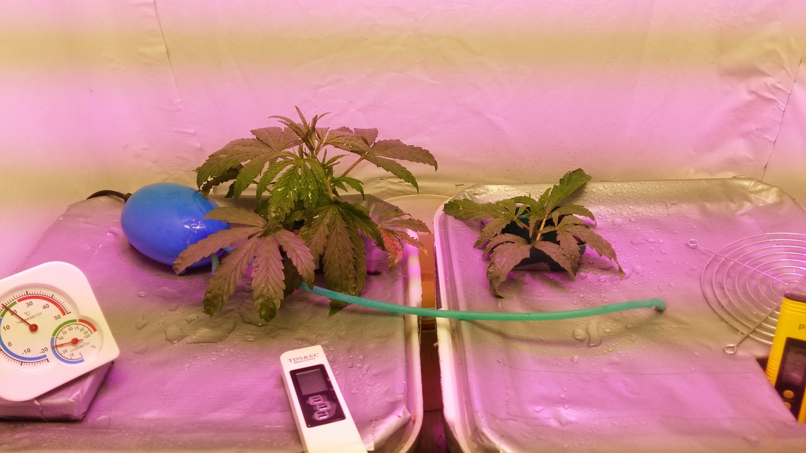 20230224_194232.jpg 20230224_194232.jpg