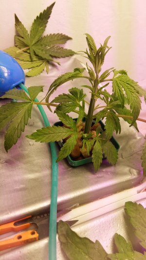 20230224_212346.jpg 20230224_212346.jpg