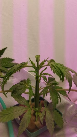 20230224_213839.jpg 20230224_213839.jpg