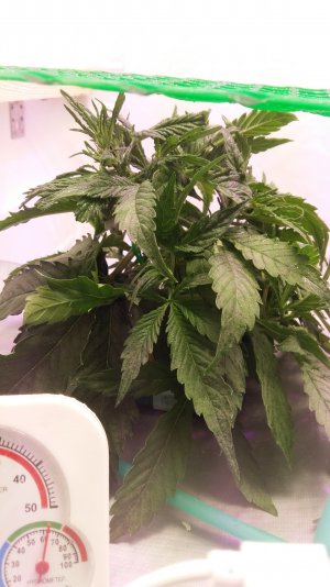 20230228_210308.jpg 20230228_210308.jpg