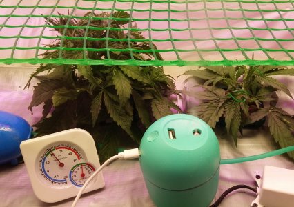 20230228_210254.jpg 20230228_210254.jpg