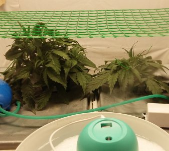 20230301_130200.jpg 20230301_130200.jpg