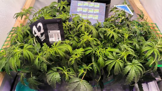 IMG_20230314_234048.jpg IMG_20230314_234048.jpg