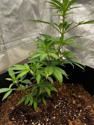 4F024688-E0CB-4959-B0C0-80476980F58D.jpeg 4F024688-E0CB-4959-B0C0-80476980F58D.jpeg