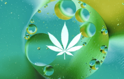 1679002763492.png 1679002763492.png