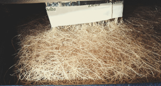 1679002875734.png 1679002875734.png