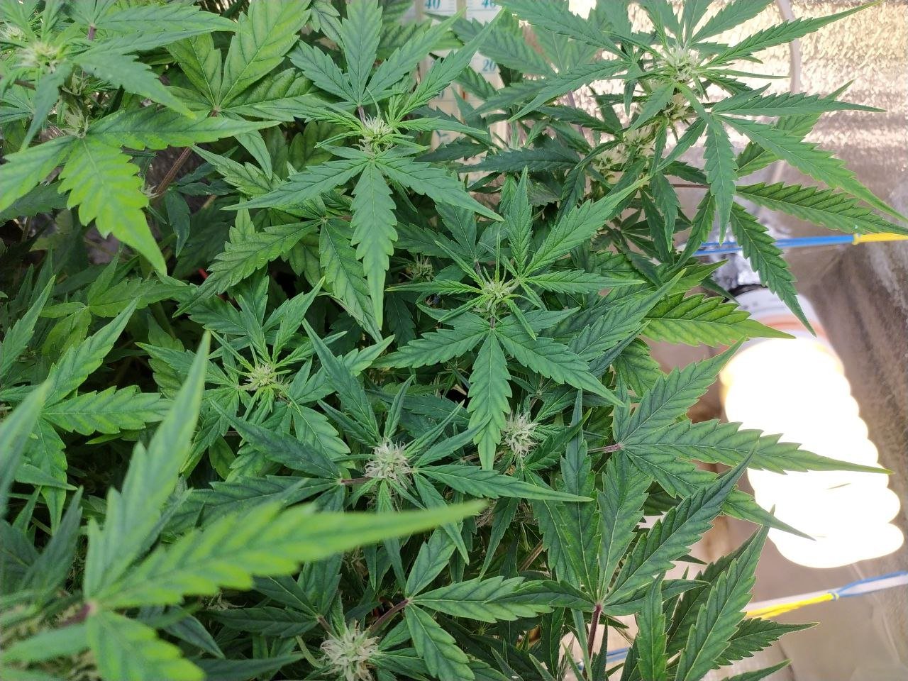 photo_2023-03-19_13-03-03.jpg photo_2023-03-19_13-03-03.jpg