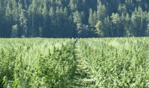 1679656136503.png 1679656136503.png