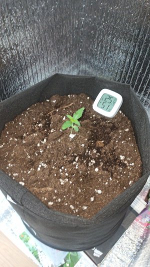 IMG_2023_03_24_14_53_07_0637895825451405945852.jpg IMG_2023_03_24_14_53_07_0637895825451405945852.jpg