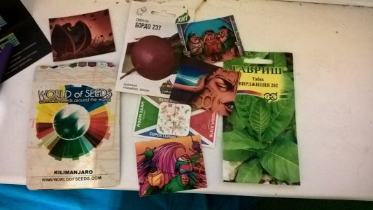 agvQWjMmmBU.jpg agvQWjMmmBU.jpg