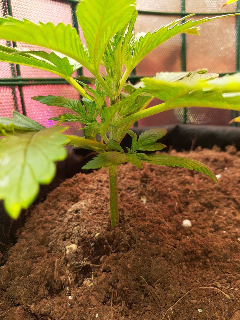 photo_2023-03-28_14-02-33 (2).jpg