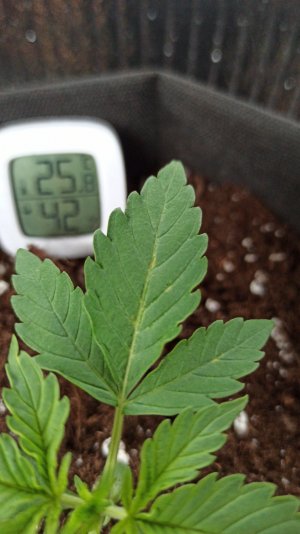 IMG_2023_03_29_15_42_34_9066801283040813206177.jpg IMG_2023_03_29_15_42_34_9066801283040813206177.jpg