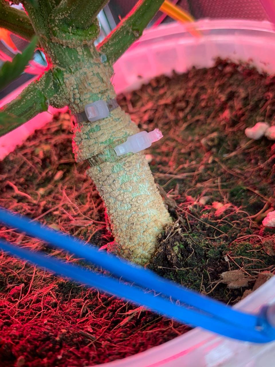 photo_2023-04-01_13-34-16 (2).jpg