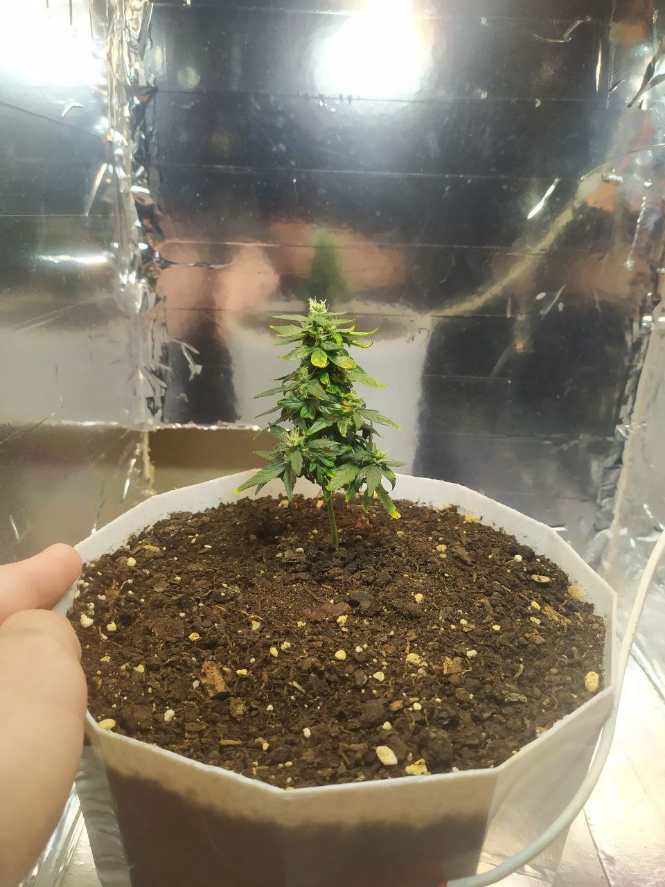 photo_2023-04-06_15-14-17 (3).jpg