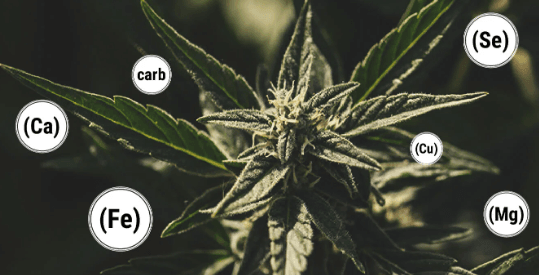 1680880830035.png 1680880830035.png