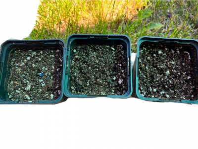 Без имени-2.png