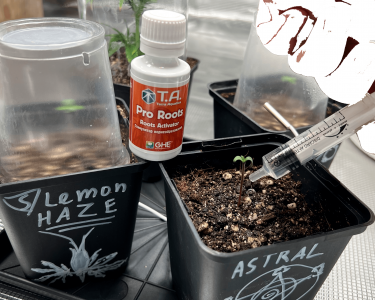 Без имени-2.png Без имени-2.png