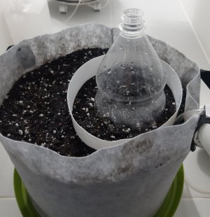 20230413_141653.jpg 20230413_141653.jpg