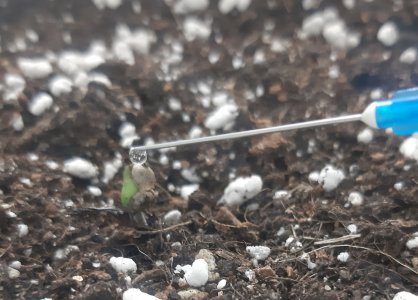 20230413_191509.jpg 20230413_191509.jpg