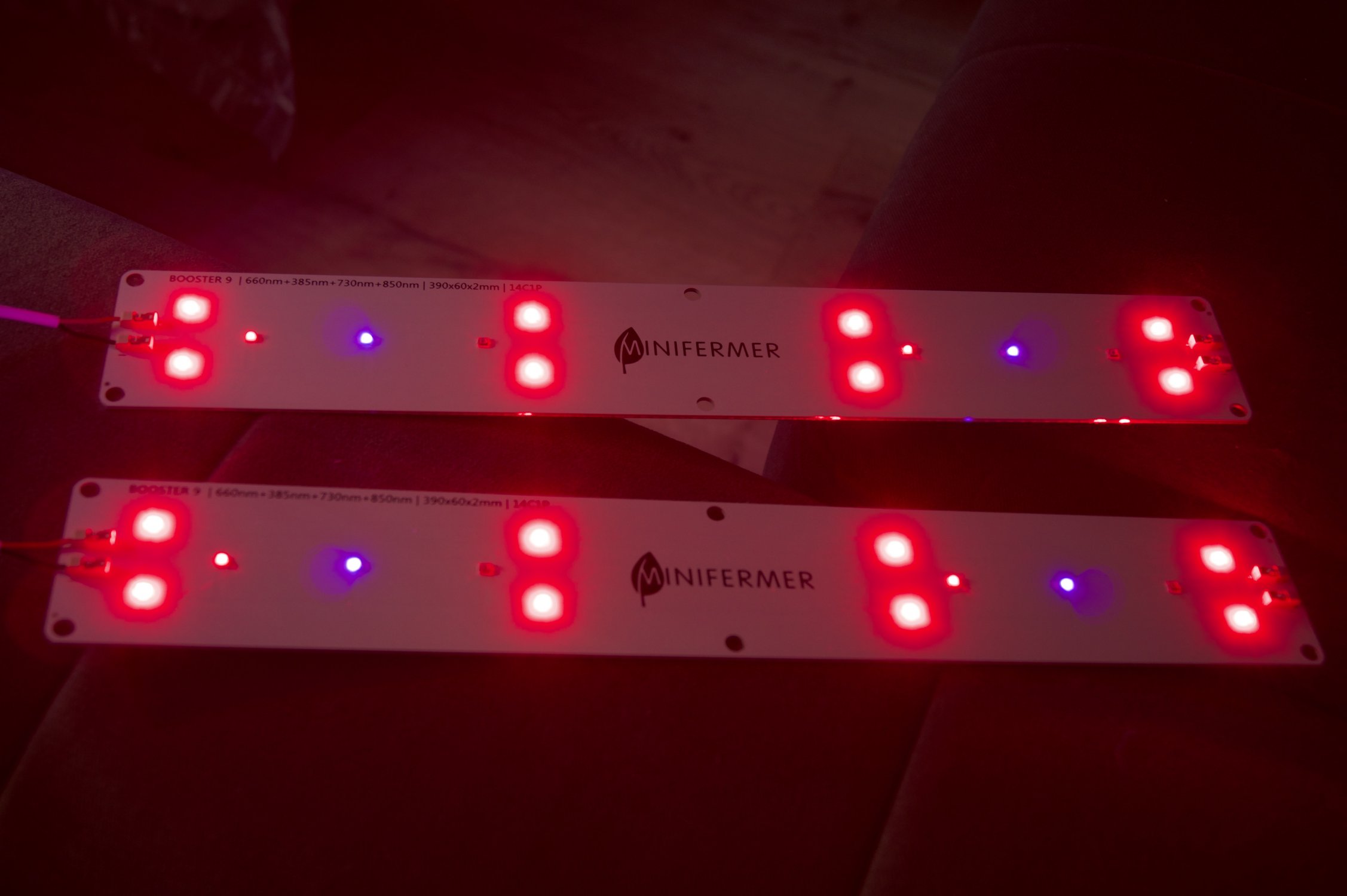 DSC04672.jpeg DSC04672.jpeg