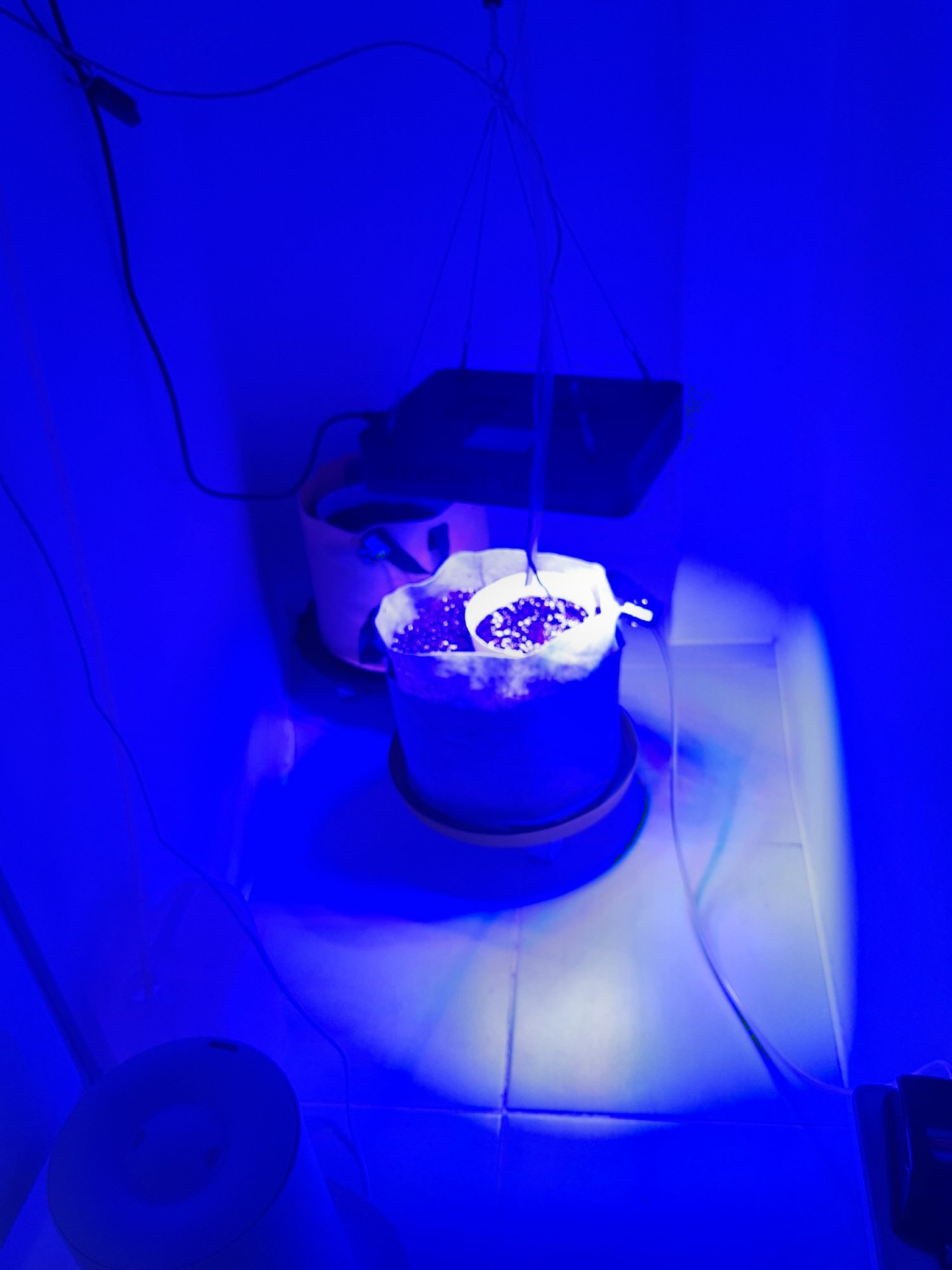 20230414_104843.jpg 20230414_104843.jpg