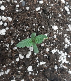 20230414_180527.jpg 20230414_180527.jpg