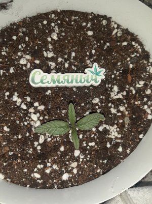 20230414_191841.jpg 20230414_191841.jpg