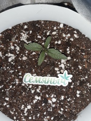 20230415_105155.jpg 20230415_105155.jpg