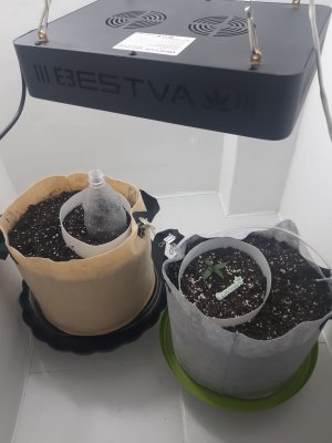 20230415_105101.jpg 20230415_105101.jpg