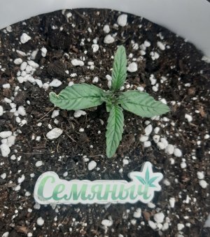 20230415_110643.jpg 20230415_110643.jpg