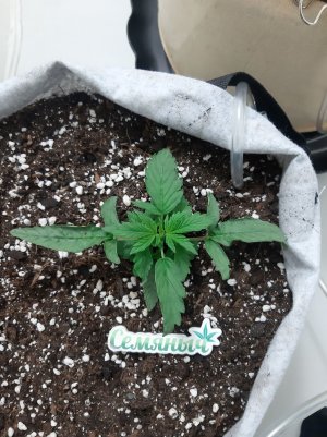 20230415_171003.jpg 20230415_171003.jpg