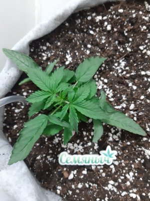 20230416_080039.jpg 20230416_080039.jpg