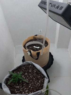 20230416_075903.jpg 20230416_075903.jpg