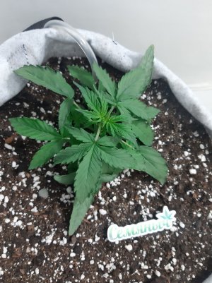 20230416_080715.jpg 20230416_080715.jpg