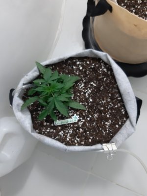 20230416_081245.jpg 20230416_081245.jpg