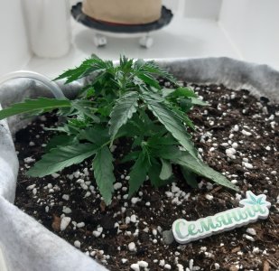 20230416_081931.jpg 20230416_081931.jpg