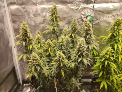 IMG_20230416_094249.jpg IMG_20230416_094249.jpg