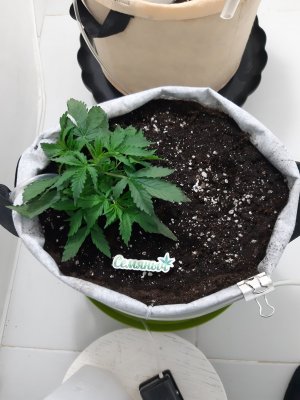 20230416_160350.jpg 20230416_160350.jpg